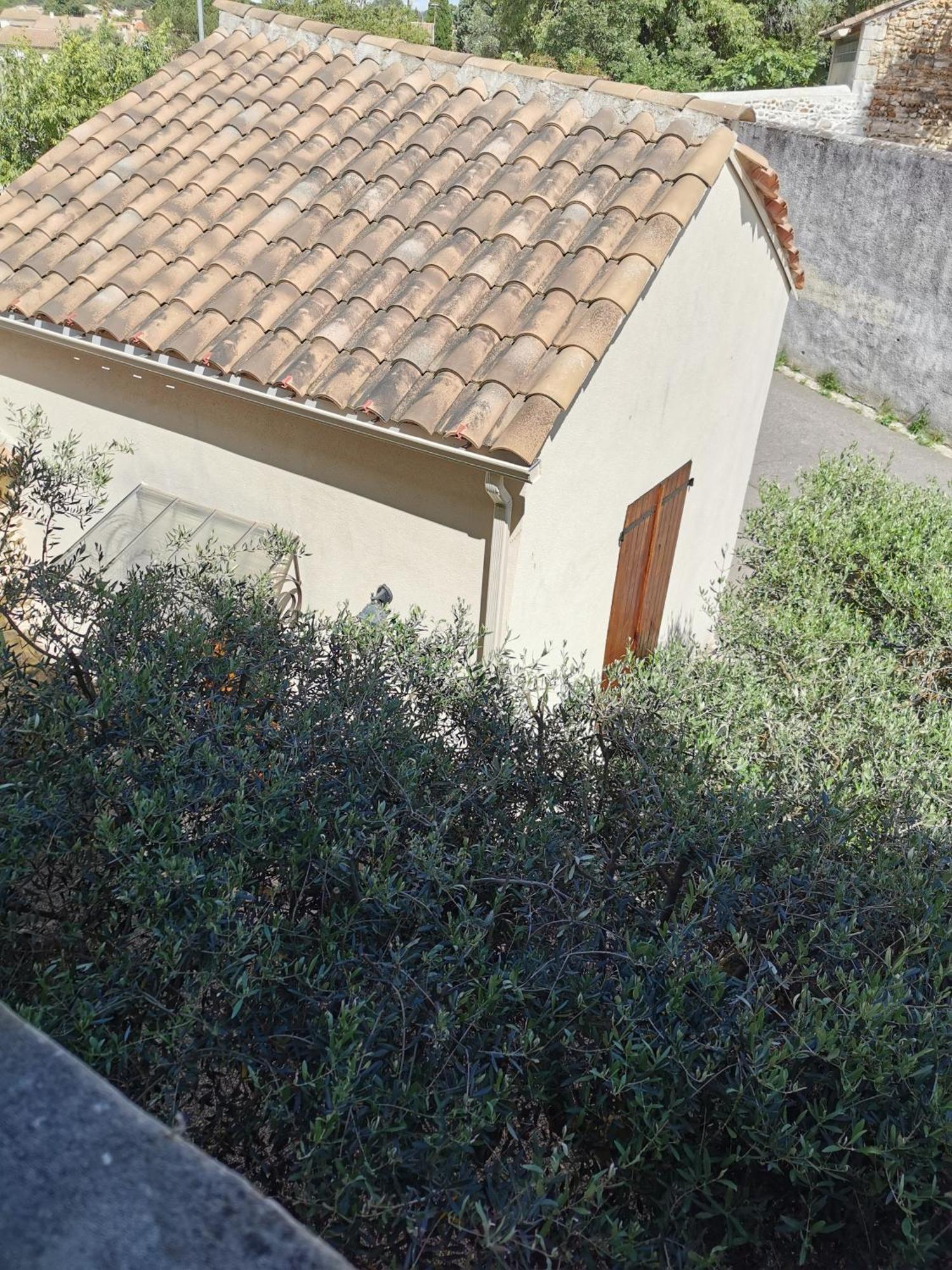 Les Sous L' Olivier En Camargue * Vauvert