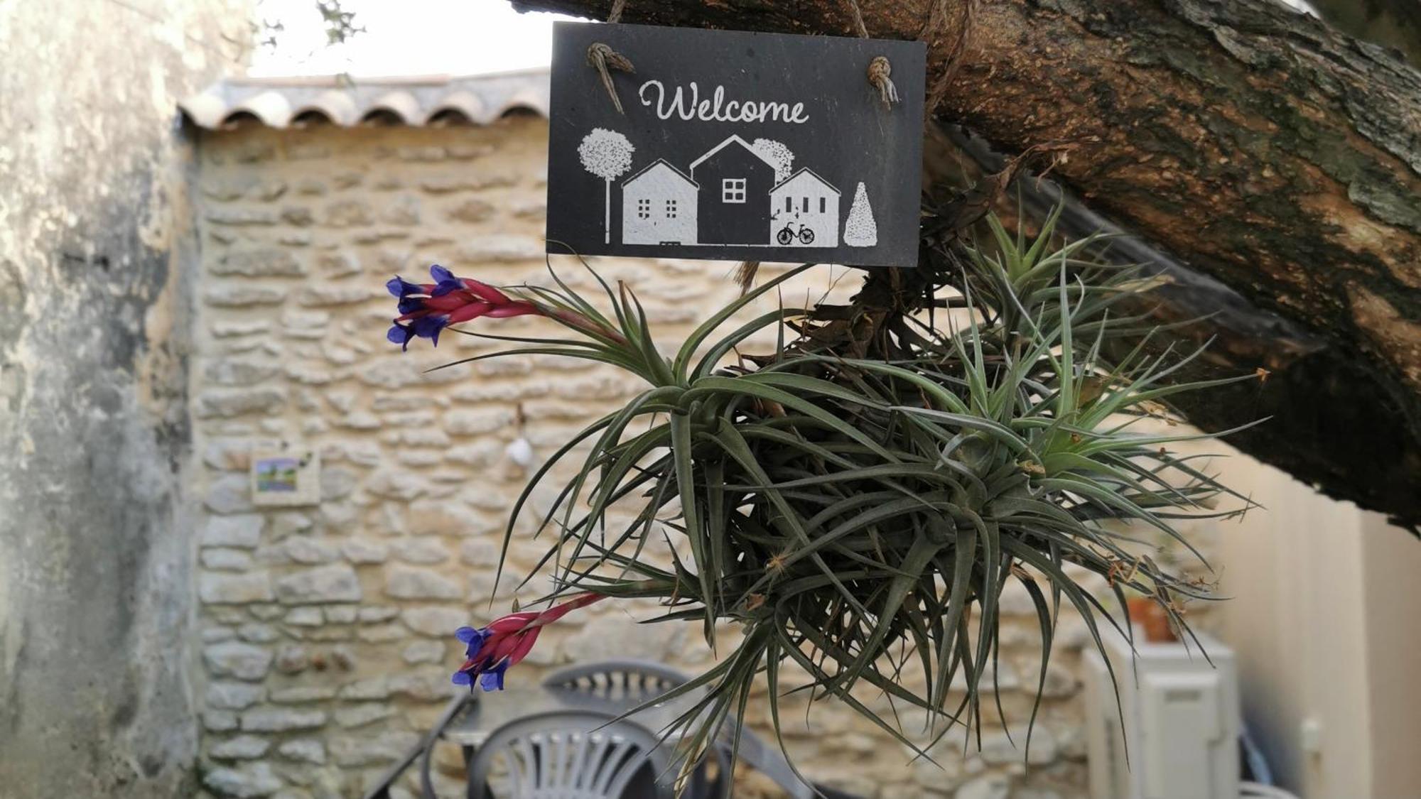 Les Sous L' Olivier En Camargue Hébergement de vacances *